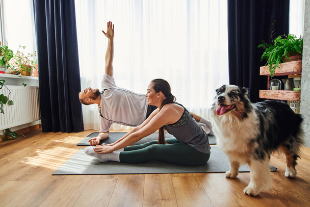 Позитивна пара в тренуванні спортивного одягу на фітнес килимках біля прикордонної колі собаки вдома - Фото, зображення
