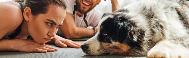 Displeased woman looking at border collie near smiling boyfriend on fitness mat at home,banner - Photo, Image