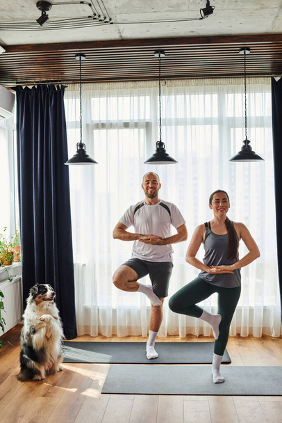 Couple souriant en vêtements de sport debout dans la pose de yoga sur des tapis de fitness près de la frontière collie à la maison - Photo, image