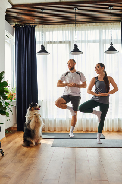 Alegre pareja en ropa deportiva de pie en postura de yoga en colchonetas de fitness cerca de frontera collie en casa - Foto, Imagen