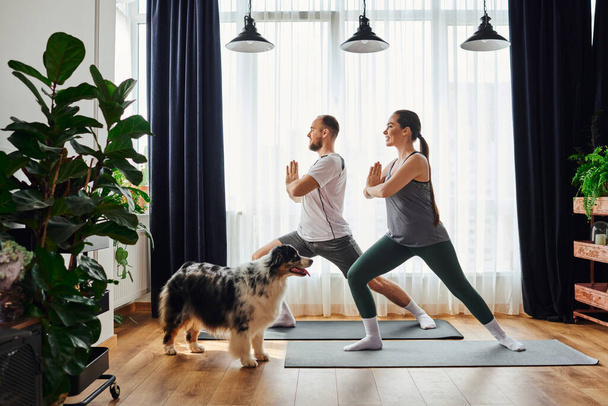 Vista lateral de pareja sonriente de pie en postura de yoga en colchonetas de fitness cerca de border collie en casa - Foto, Imagen