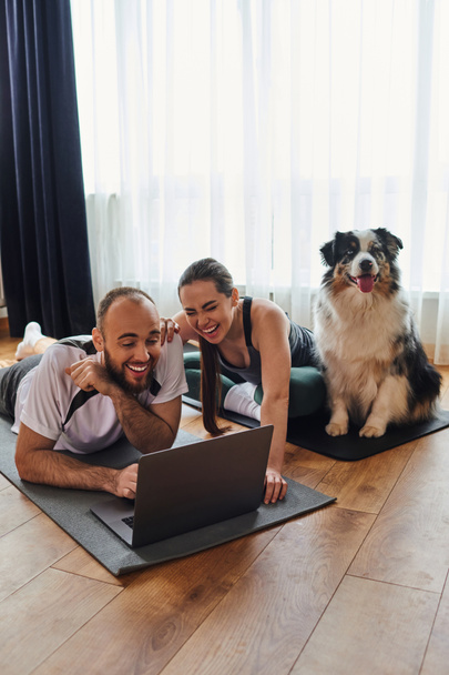 Śmiejąca się para w odzieży sportowej używająca laptopa razem na matach fitness w pobliżu granicznego psa collie w domu - Zdjęcie, obraz