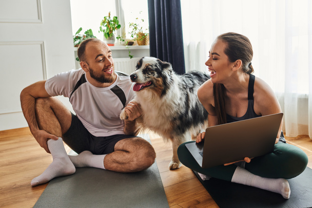 Smiling couple in sportswear talking and using laptop on fitness mats near border collie at home - Photo, Image