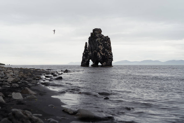 Hvitserkur mit Meeresküste in Island. Wahrzeichen der Touristenattraktion - Foto, Bild
