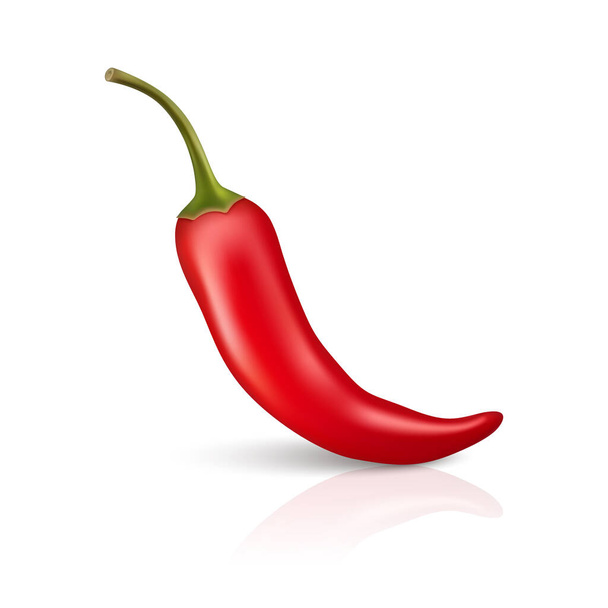 Vector 3d Realistic Red Whole Fresh and Hot Chili Pepper with Reflection Closeup Isolated on White Background. Spicy Chili Hot Pepper Design Template. Front View. Vector Illustration. - Vektori, kuva