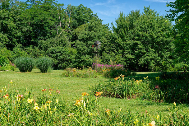 Uma bela paisagem colorida cheia de flores floridas lotes de daylilies em algumas camas de jardim com um moinho de vento rústico para decoração e bosques no fundo em um dia ensolarado no verão - Foto, Imagem