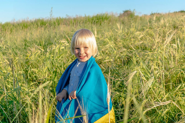Cute little child kid boy holding ukrainian national blue yellow flag in wheat field.Ukraines Independence,Flag,Constitution,Kiev day. - Photo, Image