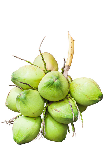 groenten, groene kokosnoot geïsoleerd op witte achtergrond - Foto, afbeelding