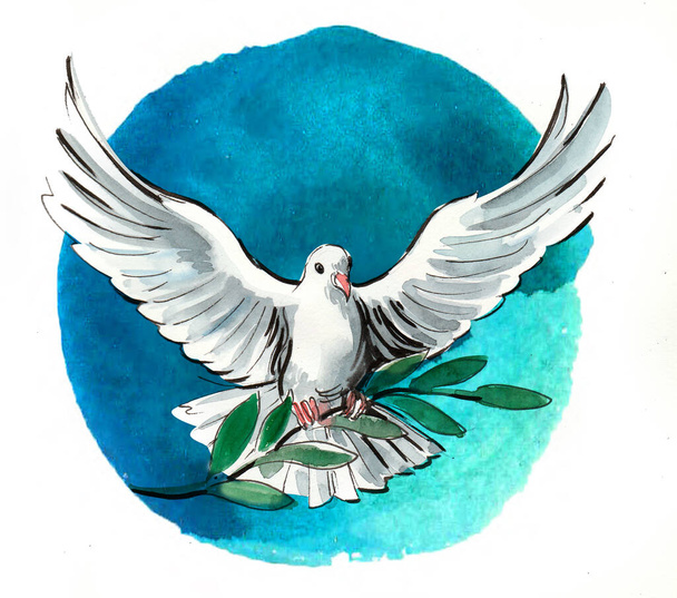 Paloma de paz con rama de olivo. Tinta dibujada a mano y boceto de acuarela con salpicaduras - Foto, Imagen