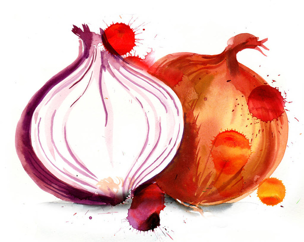 Onion vegetable. Hand-drawn watercolor sketch with splatters - Photo, Image