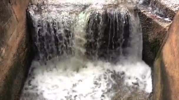 元の周囲と自然の中で水を実行している  - 映像、動画