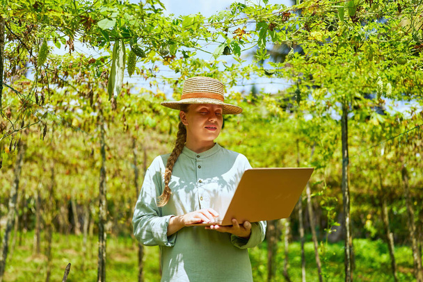 Female agronomist with laptop observes harvest loss on farm. Caucasian woman farmer inspecting drought consequences enters the data into computer. Modern agribusiness, precision farming concept - Foto, imagen