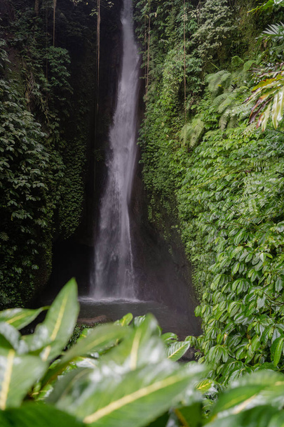 Waterfall landscape. Beautiful hidden Leke Leke waterfall in Bali. Tropical scenery. Waterfall in tropical rainforest - Фото, изображение