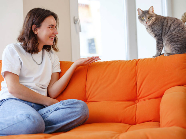 Young woman is playing with her gray cat on orange sofa at home. friendship love for pets concept, cat with complex character, unkind and wild - Photo, Image