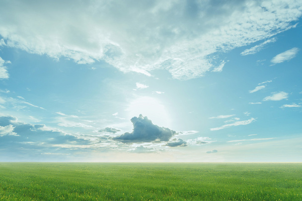 Paesaggio di prato verde e cielo blu
 - Foto, immagini