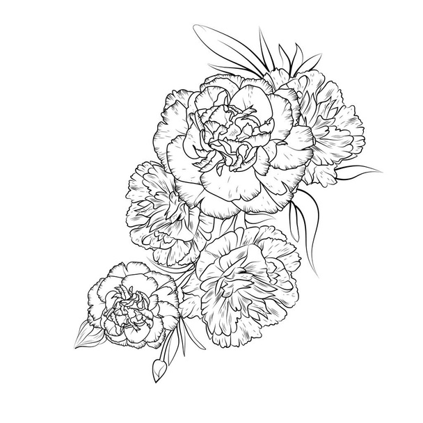 Flores de peonía dibujadas a mano. Ilustración vectorial
 - Vector, Imagen