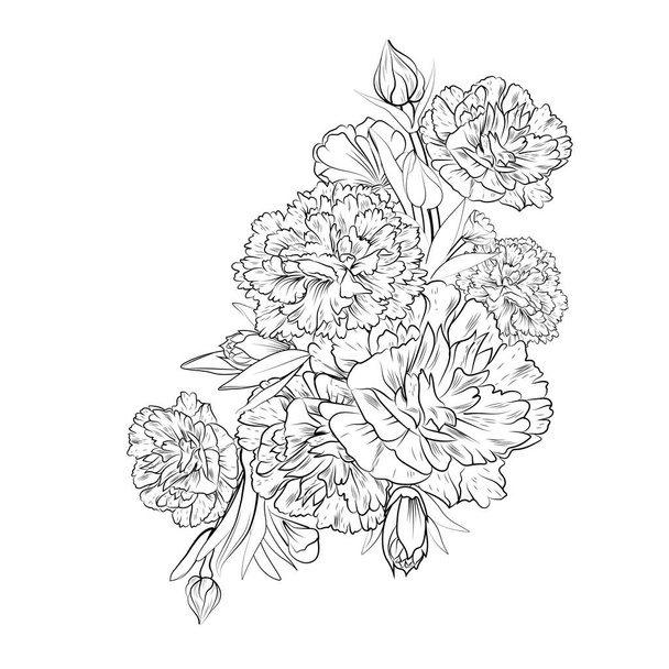 kézzel rajzolt bazsarózsa virág, fekete-fehér. kifestőkönyv oldal. - Vektor, kép