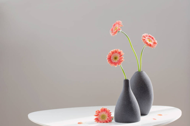 pink gerber in gray vases on white table on background gray wall - Fotografie, Obrázek