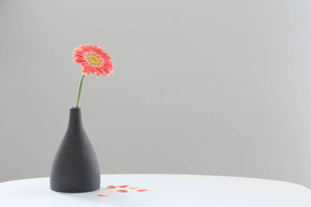 pink gerber in gray vase on white table on background gray wall - Foto, imagen