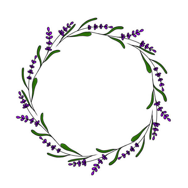 Hand-painted lavender wreath. Round frame made of lavender sprigs. Design element. Illustration isolated on white background - Foto, immagini