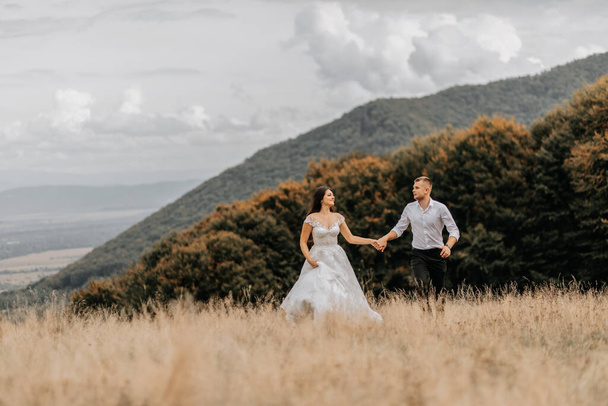 A beautiful young couple, the bride and groom, are walking in the autumn grass against the background of high autumn mountains. High quality photo - Фото, зображення