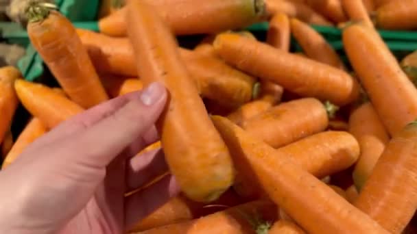 El hombre elige zanahoria joven orgánica en el mostrador en la tienda. Concepto de vida vegana. Imágenes de alta calidad 4k. - Metraje, vídeo