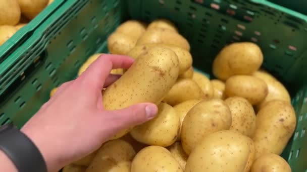 Мужские руки выбирают молодую картошку в супермаркете. Веганская концепция жизни. Высококачественные 4k кадры - Кадры, видео