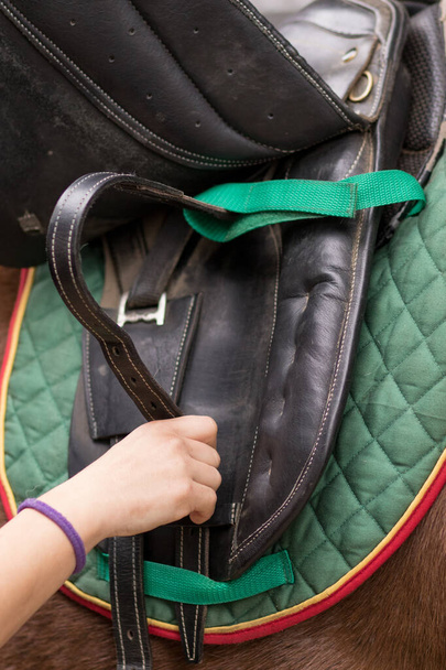 Equitation training in riding school paddock ranch stable. Rider professional athlete prepare stirrup horseback equipment.  - Фото, зображення