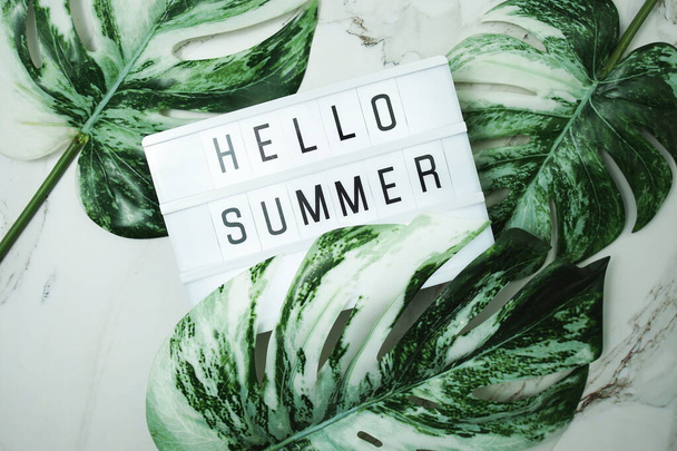 Hello Summer word in lightbox with Monstera Leaves on marble background - Φωτογραφία, εικόνα