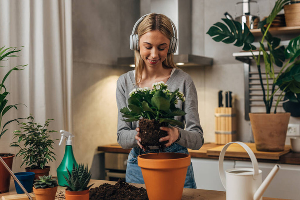 Happy woman listening to music and reporting a houseplant. - Zdjęcie, obraz