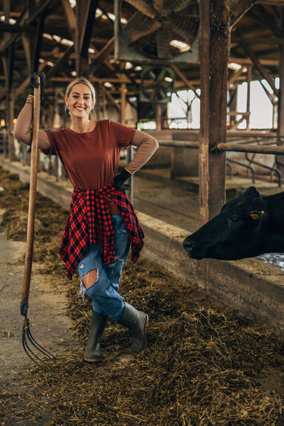 Front view of beautiful woman working at the animal farm. - Fotoğraf, Görsel