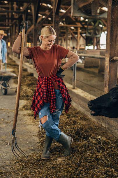 Beautiful happy female farmer smiling while looking at the cow in a stable. - Фото, изображение