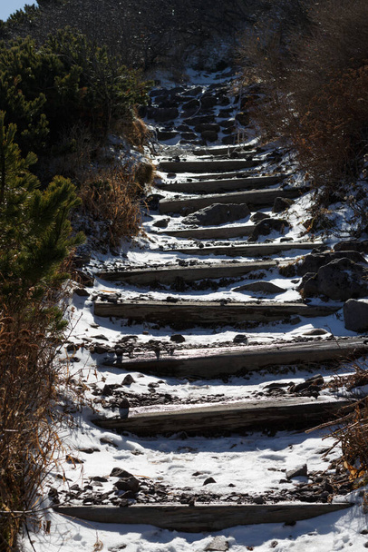 登山道を登る氷の階段 - 写真・画像