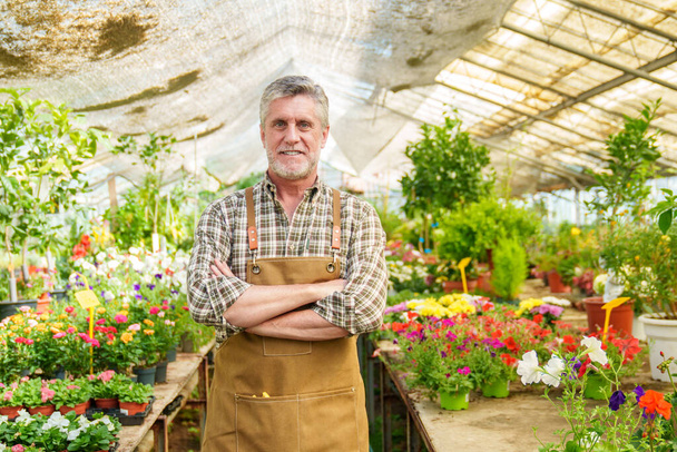 Uśmiechnięty starszy pracownik rasy kaukaskiej w ogrodzie botanicznym, skrzyżowane ramiona, otoczony tętniącą życiem wystawą roślin ozdobnych i kwiatów, tworząc kolorowy portret korporacyjny. - Zdjęcie, obraz