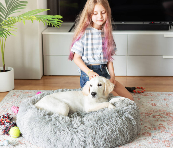 Little girl playing with a golden retriever puppy at home. Friends at home. - Photo, Image