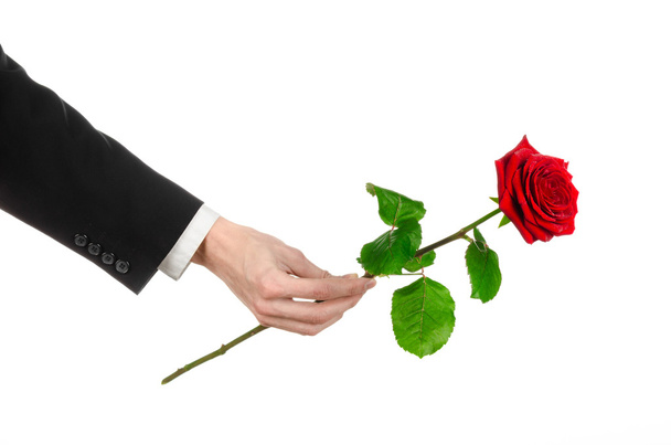 Valentine's Day and Women's Day theme: man's hand in a suit holding a red rose isolated on white background in studio - Photo, Image