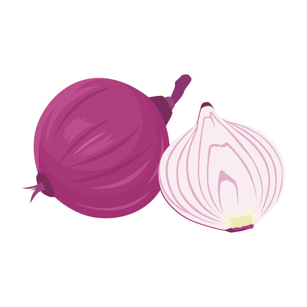 Flat vector of Onion isolated on white background. Flat illustration graphic icon - Vector, imagen