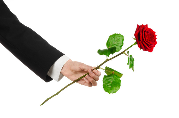 Walentynki i Women's Day motywy: ręka mężczyzny w garniturze gospodarstwa czerwoną różę na białym tle na białym tle w studio - Zdjęcie, obraz