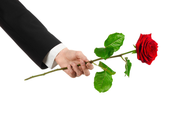 Valentine's Day and Women's Day theme: man's hand in a suit holding a red rose isolated on white background in studio - Foto, Imagem