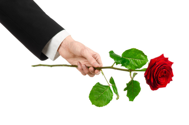 Valentine's Day and Women's Day theme: man's hand in a suit holding a red rose isolated on white background in studio - Valokuva, kuva