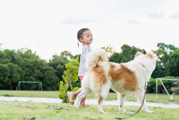 Een kind met een hond in de natuur. meisje spelen met een hond op groen gras bij zonsondergang tijd. - Foto, afbeelding