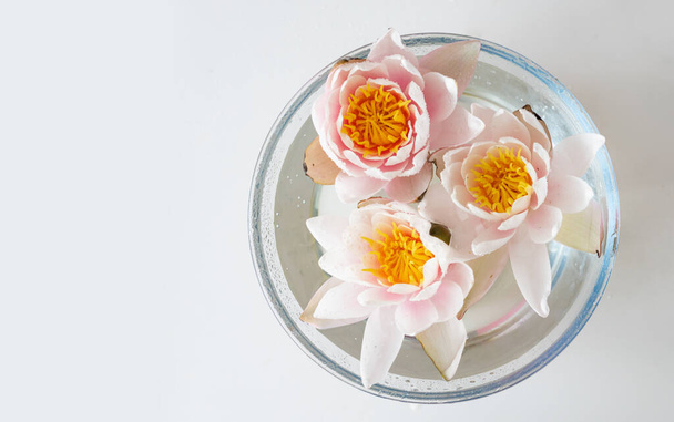 Roze lotus in glazen schaal op witte achtergrond. Bovenaanzicht. - Foto, afbeelding