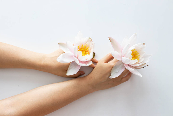 Mani di donna che tengono un fiore di loto isolato su sfondo bianco. - Foto, immagini