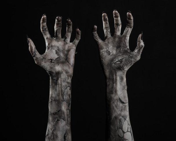 black hand of death, the walking dead, zombie theme, halloween theme, zombie hands, black background, isolated, hand of death, mummy hands, the hands of the devil, black nails, hands monster - Фото, изображение