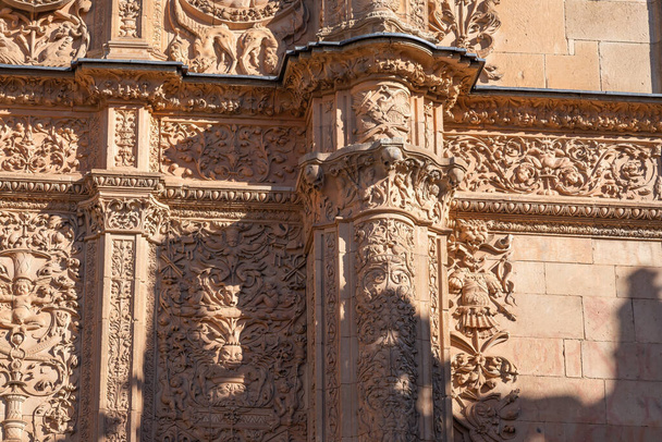 Detalles de Antigua Universidad de Salamanca Fachada plateresca con rana y cráneo - Salamanca, España - Foto, imagen