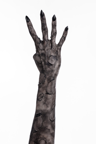 black hand of death, the walking dead, zombie theme, halloween theme, zombie hands, white background, isolated, hand of death, mummy hands, the hands of the devil, black nails, hands monster - Zdjęcie, obraz
