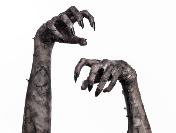 black hand of death, the walking dead, zombie theme, halloween theme, zombie hands, white background, isolated, hand of death, mummy hands, the hands of the devil, black nails, hands monster - Photo, image