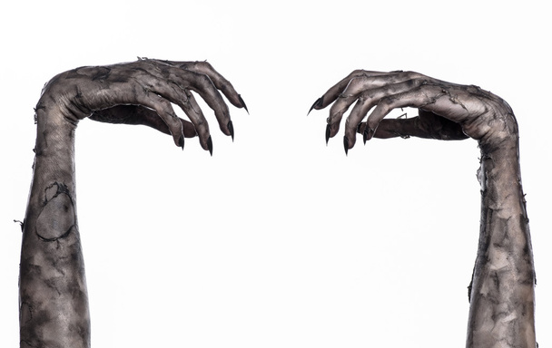 black hand of death, the walking dead, zombie theme, halloween theme, zombie hands, white background, isolated, hand of death, mummy hands, the hands of the devil, black nails, hands monster - Foto, imagen