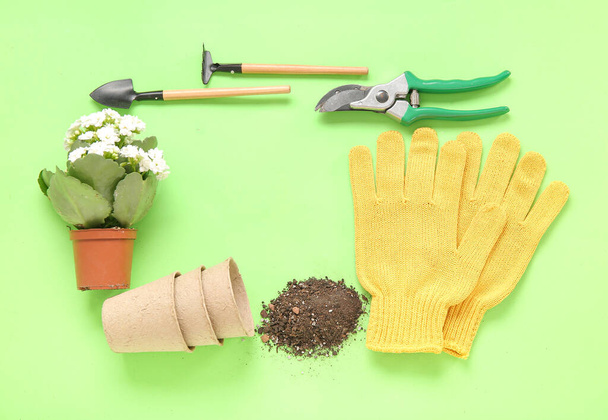 Cadre fait de différents outils de jardinage et de plantes sur fond vert - Photo, image