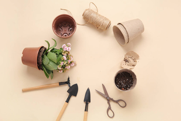 Frame made of different gardening tools and plant on beige background - Fotografie, Obrázek